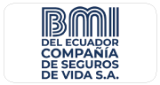 _bmiseguros